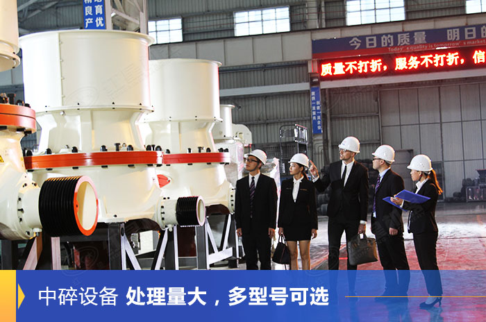 客戶到紅星機器廠區(qū)參觀設(shè)備